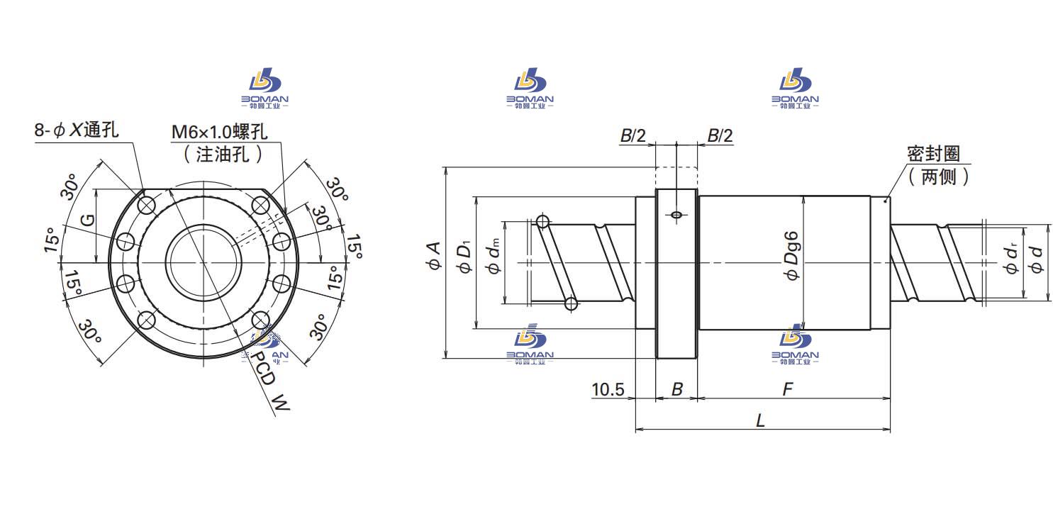 BSS5016-4E-BSS标准系列丝杠